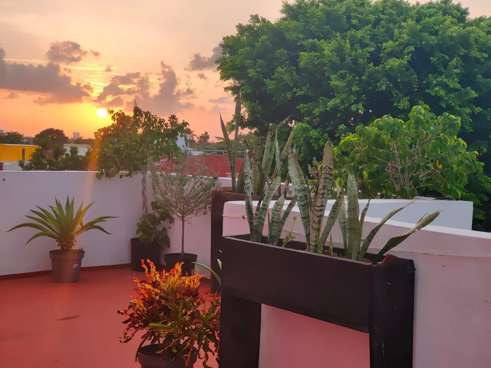Casa Coraza Apartment Cancun Luaran gambar